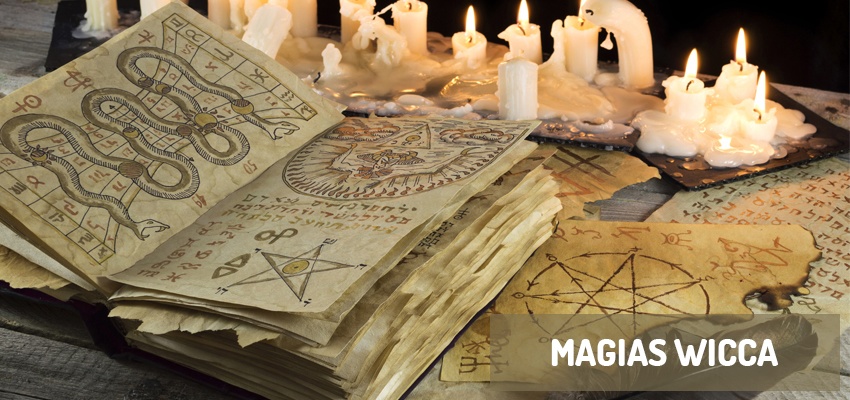 72 ideias de Empata  magia das ervas, feitiços e magias, wicca para  iniciantes