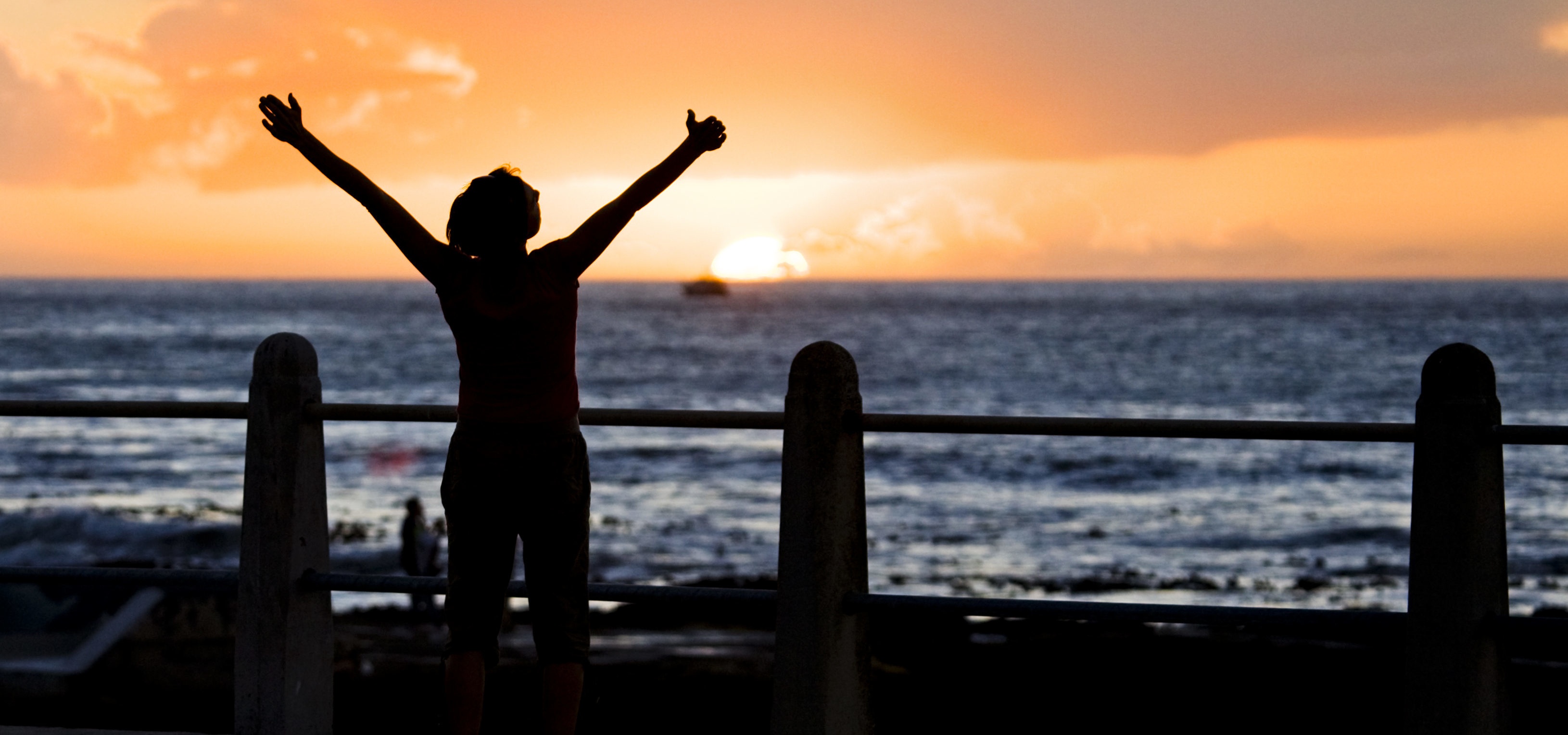 Ossain Oracoes E Historias Desse Misterioso Orixa Wemystic Brasil ossain oracoes e historias desse