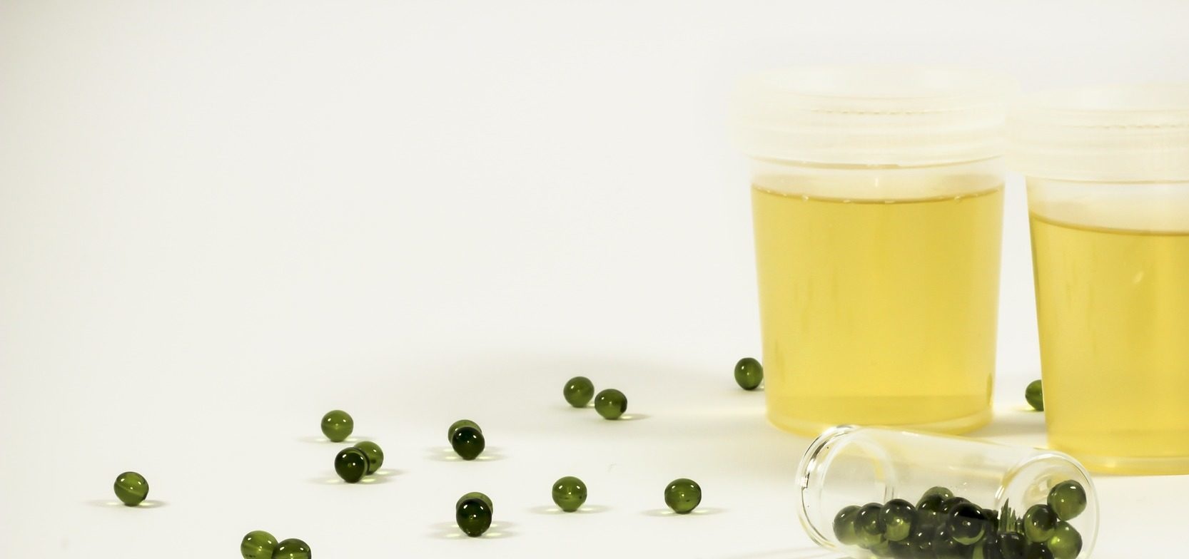 Gomutra e a Ayurveda como funcionam os tratamentos à base de urina? WeMystic Brasil